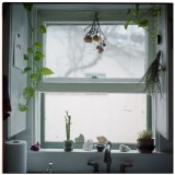 A sinkly reminiscence